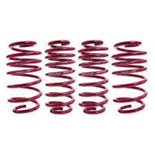 Vogtland Sport Lowering Springs
